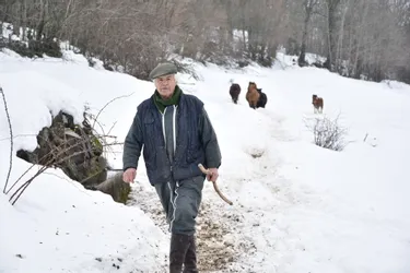 Face à la neige abondante à Narnhac (Cantal), un agriculteur apporte le foin quotidien à six chevaux à la main
