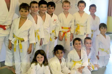 Les judokas vont retrouver les tatamis