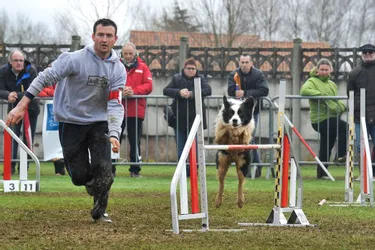 En Limousin, mariage heureux entre le sport et l'amour des chiens