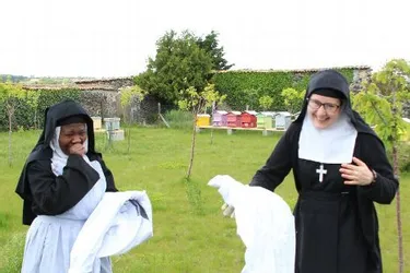 Les sœurs du monastère de La Visitation cultivent leur passion pour l’abeille et la biodiversité