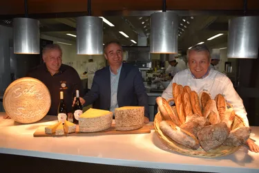 Qui obtiendra le titre de meilleur fromage salers à Vézac (Cantal) samedi 30 octobre ?