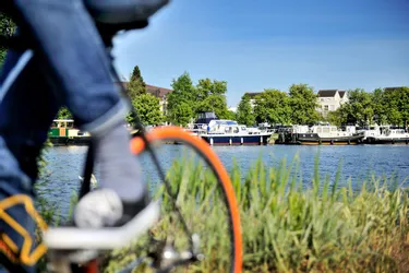 Pourquoi la France raffole-t-elle du vélo ? Une histoire "sentimentale" pour le sociologue David Le Breton