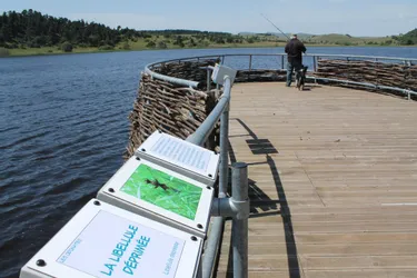 Lac du Pêcher, des collégiens d'Allanche écrivent un article sur Wikipédia