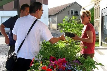 Aux Serres d’Embrassac, Stéphanie Escarbassière produit fleurs et légumes naturels et sains