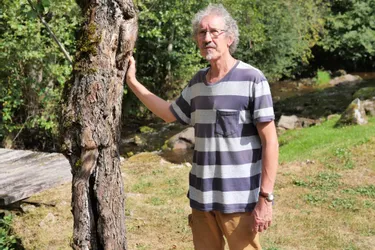 Des petits propriétaires forestiers de la Creuse s'unissent pour mieux gérer leur forêt