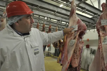 L’abattoir de La Nau très attaché à “label viande”