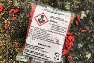 De la mort-aux-rats découverte chez des candidats aux municipales à Bellerive-sur-Allier : le maire réagit
