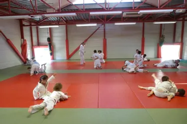 Les cours reprennent à l’école de Judo 15