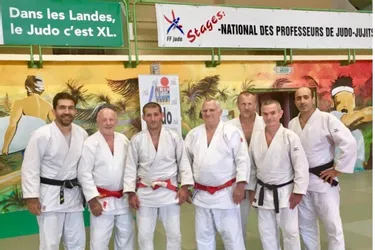 Les enseignants de judo en stage national