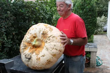 Une citrouille de 37 kg et 740 grammes cultivée dans un jardin du Patural