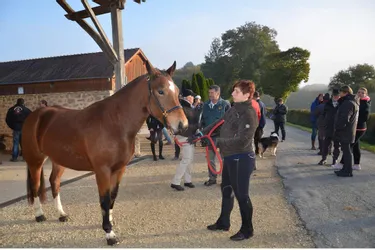 Une trentaine de chevaux ont été évalués, notamment par des juges venus de Suisse