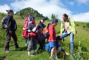 Le Parc des volcans anime un projet sur les monts du Cantal