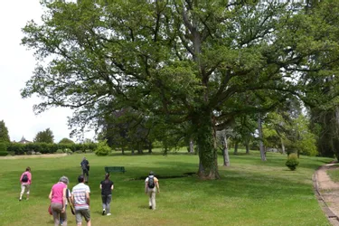 Les arbres des jardins du château du marquis, témoins d’une amitié transatlantique