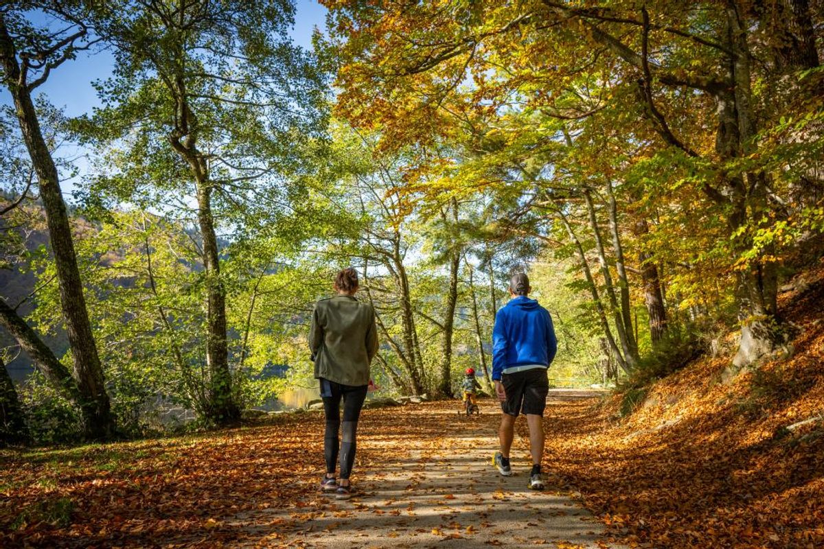L automne Commence Le 23 Septembre Pourquoi La Date Change Chaque l-automne-commence-le-23-septembre-pourquoi-la-date-change-chaque