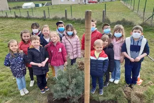 Les élèves ont planté des arbres à l’école