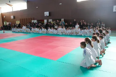 Quelque 184 judokas sur le tatami