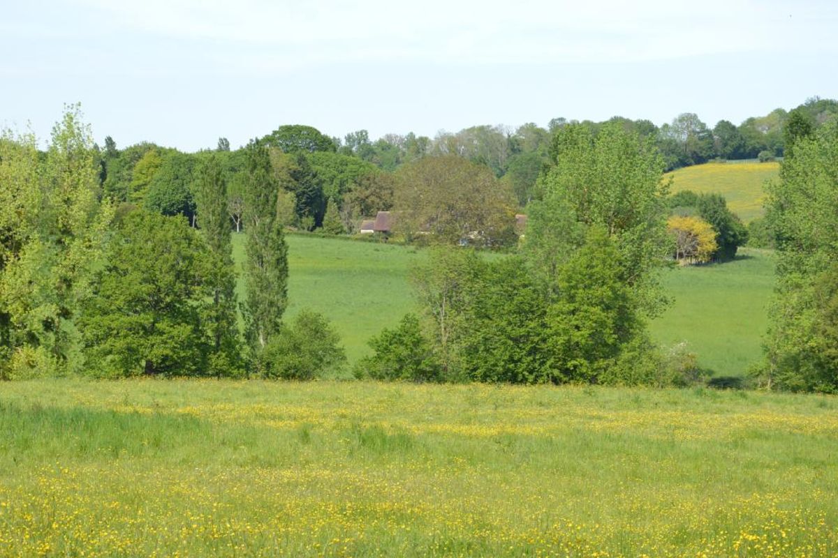 L’agriculteur du Perche qui réclamait un accès à son champ débouté par la justice face au risque pour les usagers de la route