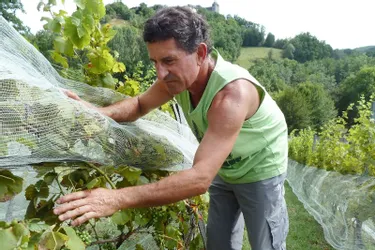 Passionné, Didier Mouton croit profondément en la qualité du vignoble corrézien