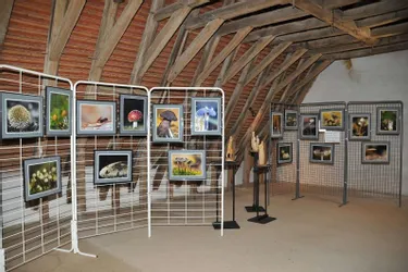 Expositions diverses au Musée
