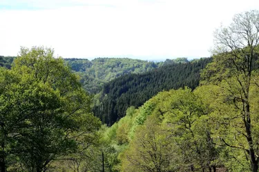 Trois randonnées nature pour découvrir Saint-Priest-des-Champs et ses environs