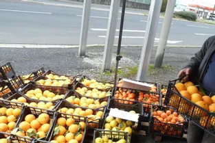 Deux points de vente fournis en citrons, clémentines et oranges