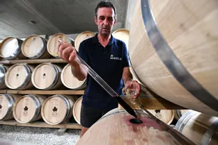 Le premier vin rouge bio labellisé AOC en Corrèze se déguste à Branceilles (Corrèze)