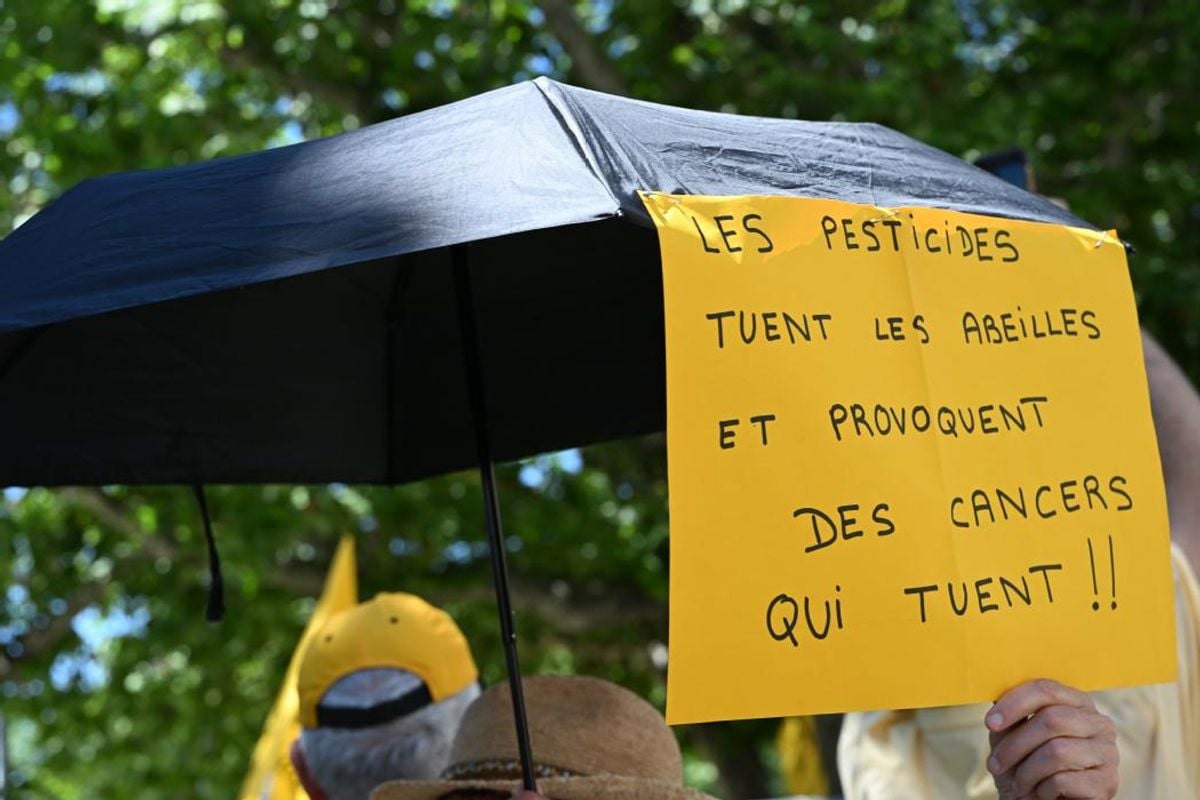 Pétition Révolutionnaire : Plus de 200 000 Signatures Contre la Loi Duplomb ! L'Indignation Grève
