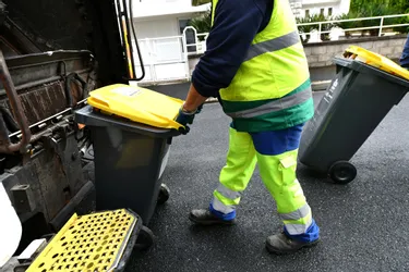 210.000 puces sur les bacs poubelle de la métropole clermontoise (Puy-de-Dôme)