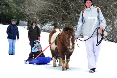 Lioran : que faire avec des enfants en bas âge, trop jeunes pour le ski ?