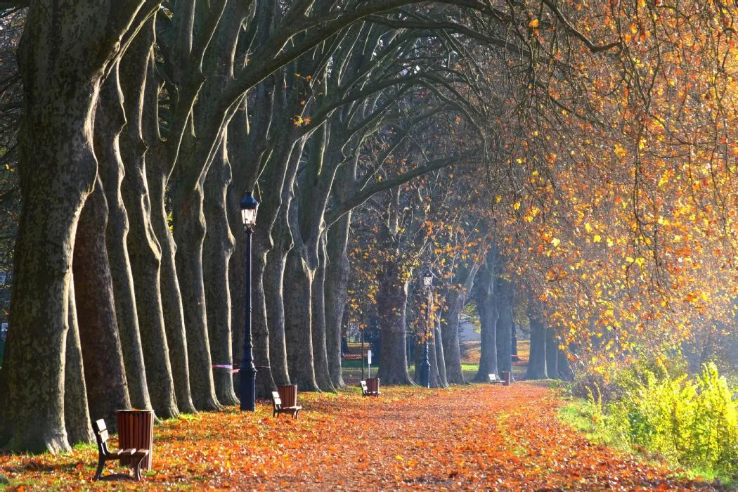 Parc Napoléon III à Vichy en automne