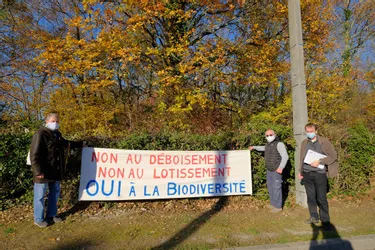 Une association se mobilise contre un déboisement à Bellerive-sur-Allier
