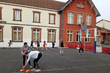 Les basketteurs reprennent les entraînements à l'extérieur