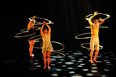 "Driftwood" par la Cie Casus circus au théâtre de Cusset