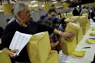 Michel Mijoule, ancien menuisier-ébéniste, juré au concours des fromages