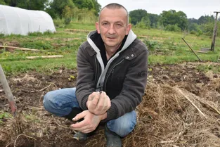 L’agronome Christophe Gatineau nous présente son dernier livre intitulé Éloge du ver de terre