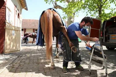 Qui sont les chausseurs des chevaux de l'hippodrome de Vichy Bellerive (Allier) ?