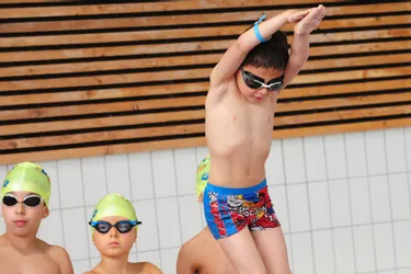 Mini-open de natation : les enfants se jettent à l'eau !
