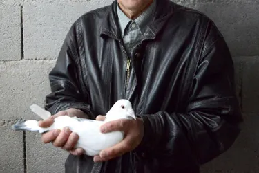 René Tixier, président de la Colombe guérétoise, élève des pigeons voyageurs depuis le lycée