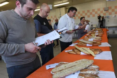 Le département représentera le Limousin au concours national du pain de tradition à Paris