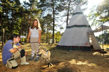 « La Ptite ferme de Caro » propose des séjours au camping en compagnie d’animaux