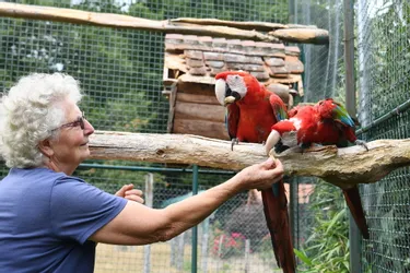 En Creuse, le parc animalier des Egaliers s'ouvre au public une fois par an, le 15 août