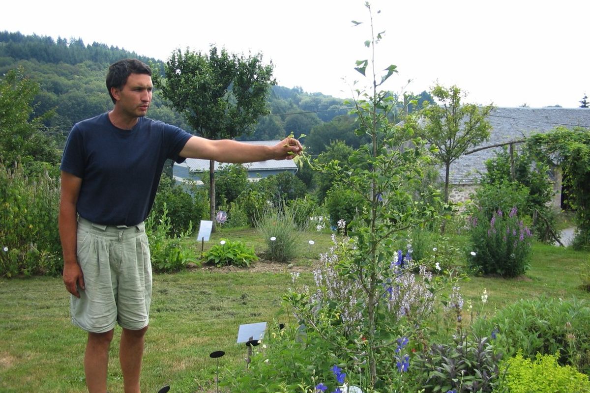 Nos cinq idées de sortie à faire ce mercredi 31 juillet dans le Cantal ...