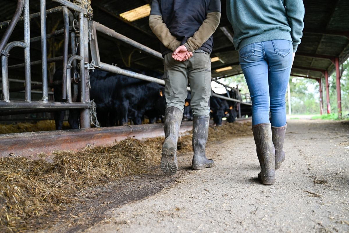 Face à des fermes qui se vident, l'enjeu majeur des transmissions d’exploitations en Haute-Loire