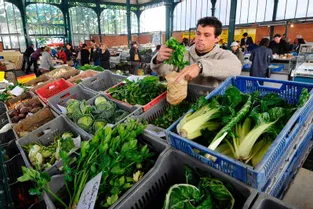 Inexistants il y a dix ans, les marchés bio ont conquis l'Auvergne