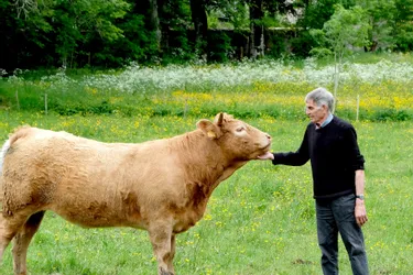 L'ancien vacher du buron qui a terminé sa carrière à l'Inra de Marcenat (Cantal)