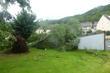 Cantal : l'orage a provoqué quelques dégâts