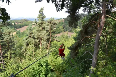 Le parc Margeride Aventure propose de s'envoler au-dessus des cimes en tyrolienne