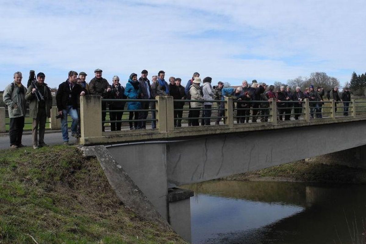 VAUX. Découvrir les oiseaux du val de Cher - La Montagne