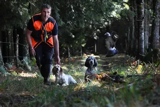 Quatre choses à savoir pour préparer ses chiens à l'ouverture de la chasse dans le Cantal