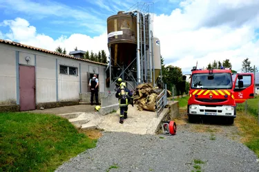 Un incendie dans une porcherie à Rezentières (Cantal) provoque la mort d'une vingtaine d'animaux